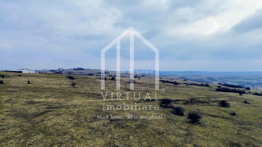 Teren de vanzare in Sibiu 67.500 mp, extravilan, Dealul Daii - 3