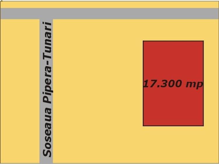 TEREN PIPERA OPORTUNITATE INVESTITIE