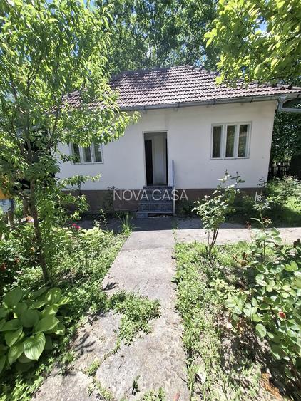 Proprietate unică chiar lângă Mănăstirea Govora - 5