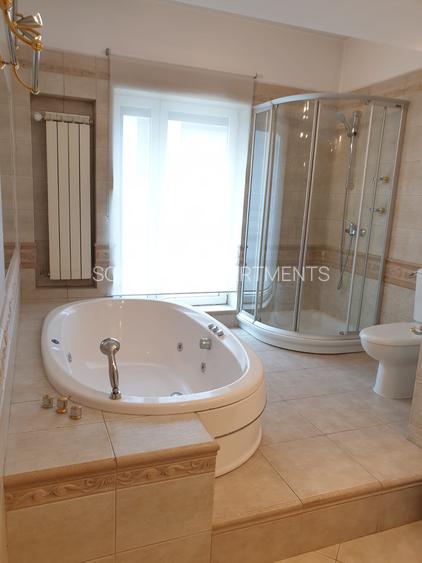 Vanzare apartament penthouse Gradina Icoanei - 5