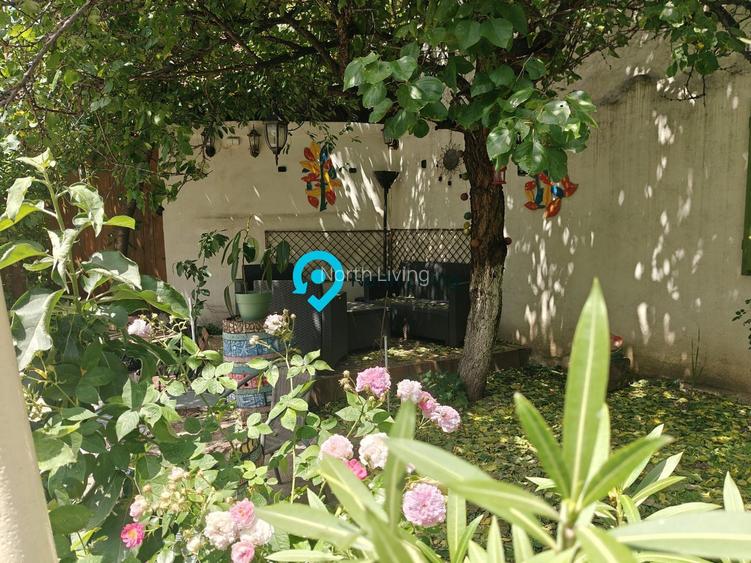 Proprietate rară în Popa Nan – 3 camere | Curte | Gradina - 26