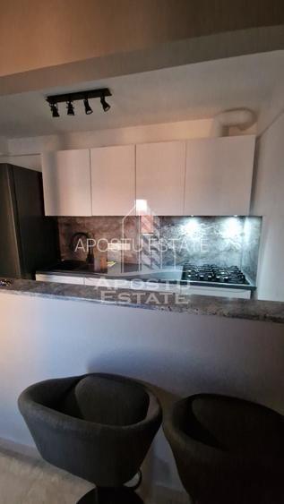 Apartament cu 2 camere de închiriat- centrala proprie,Iosefin - 6