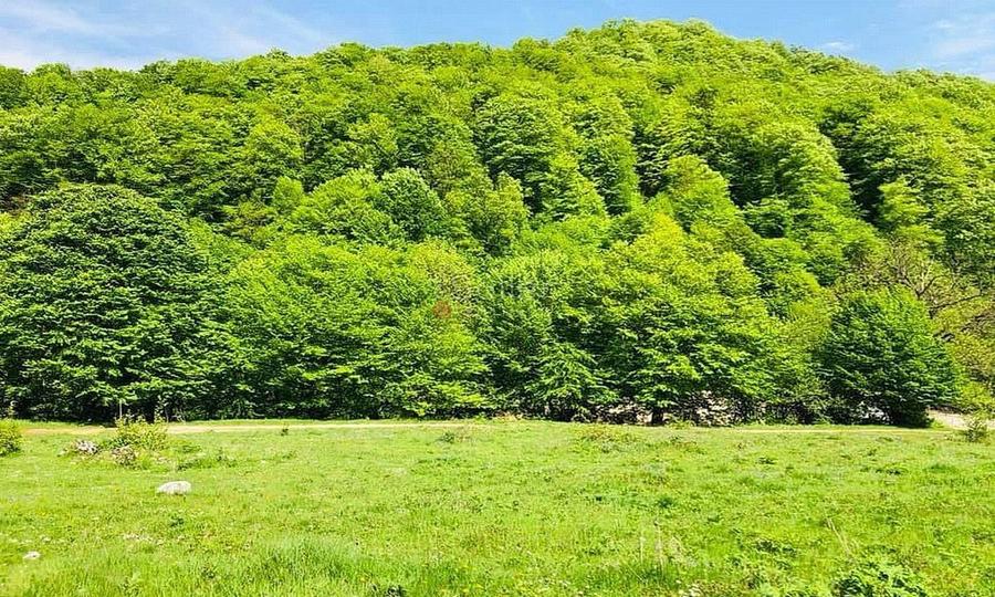 TEREN POTENTIAL TURISTIC - Rasnov - Cheisoara