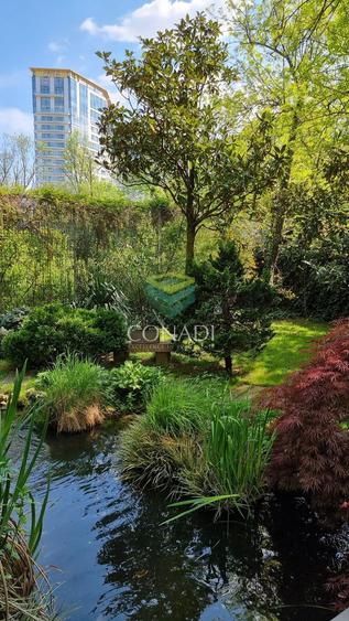 Vila teren 500 mp | Titeica – ideal sediu firma | langa Parcul Verdi