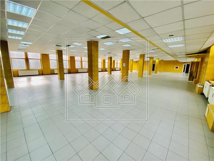 Spatiu industrial si de birouri in zona Terezian - finisaje moderne