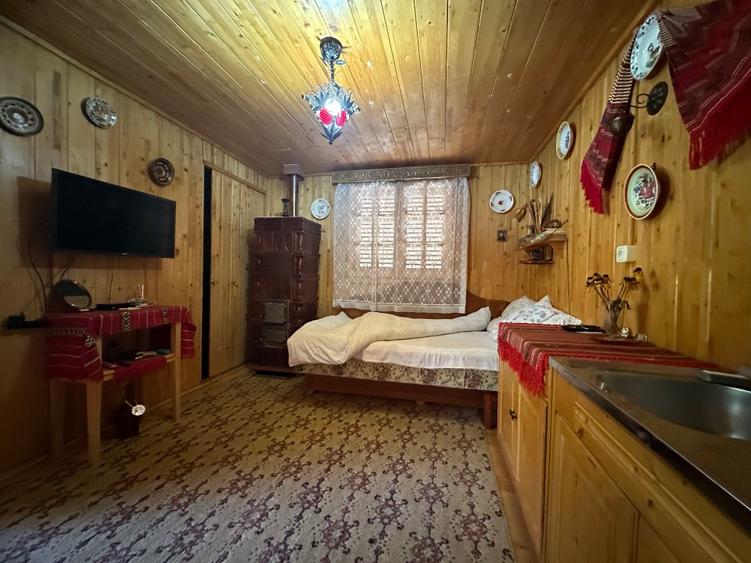 Casa de vacanta situata pe Calea Dumbravii