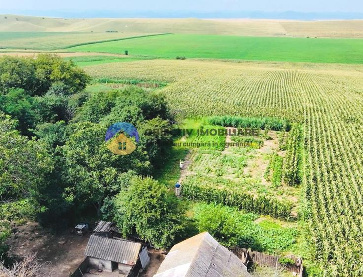TEREN intravilan  9.126 mp - comuna STEFAN cel MARE