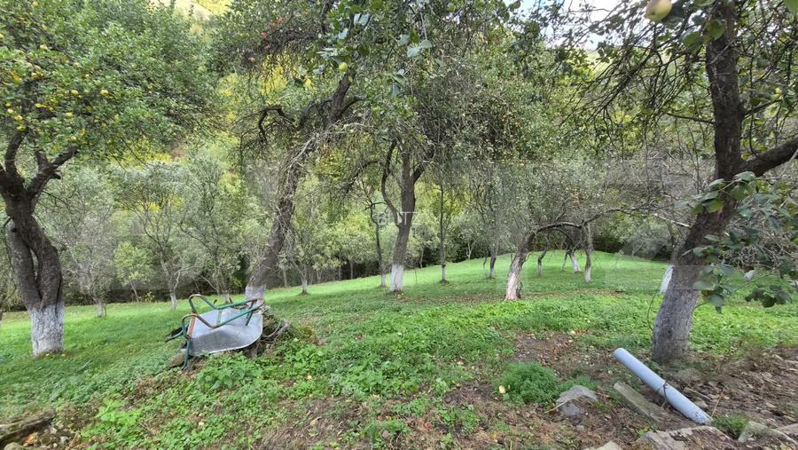Casa 3 camere, 55 mp, teren 23.000 mp, zona pitoreasca-Poiana Marului - 18