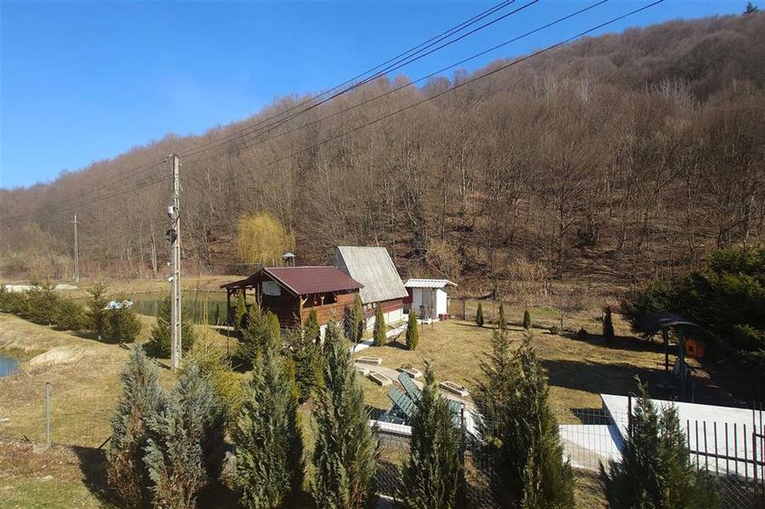 Iaz de vanzare in Apuseni- cazare, agrement si pescuit la DN74
