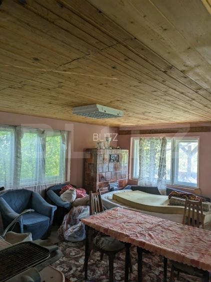 Casa 3 camere si teren 4873 mp  în Pietroasa, Moldovenești - 3