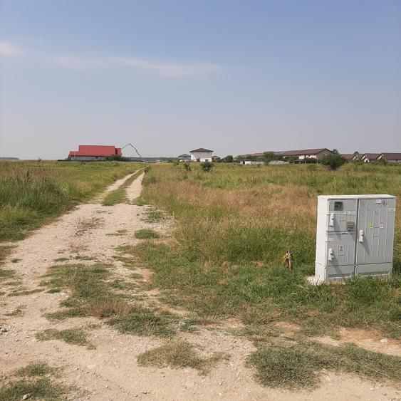 Teren 585 mp, intravilan, in Domnesti catre Teghes, din str. Curtea Domneasca