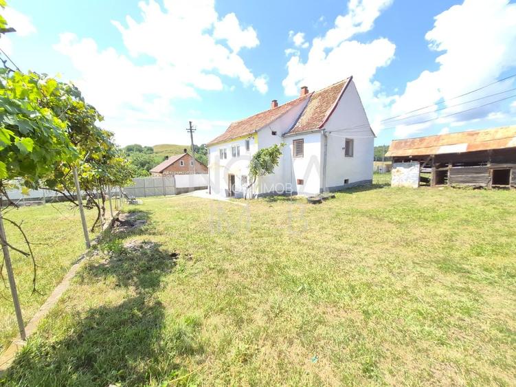 Casa individuala cu teren generos – 8.356 mp – Tichindeal, jud. Sibiu - 36