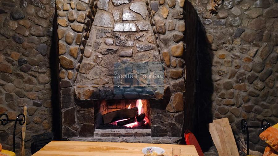 CASĂ DE VACANȚĂ – LEPȘA| 804 MP UTILI | 14 CAMERE | TEREN 1.857 MP - 5