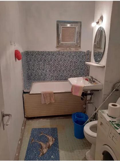 CI679 Barnutiu-Lugojului,2 camere,Parter