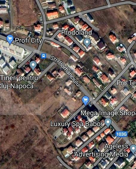 Reducere de pret!Teren intravilan, suprafata de 2506 mp, incadrare UM4, Borhanci