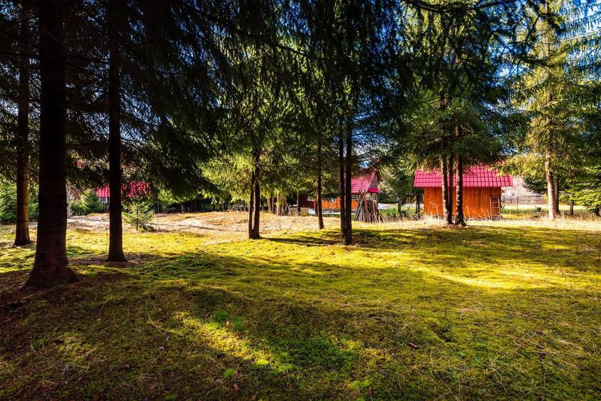 Cabane cu 10 camere Arieseni