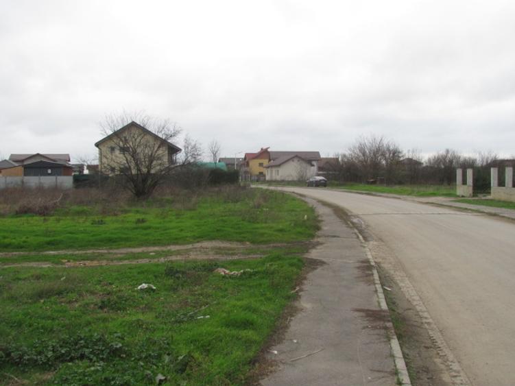 Cornetu - Crizantemelor, Stradal