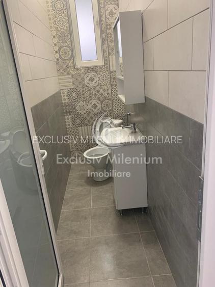 Casa/Vila Stefan cel Mare - Piata Gemeni-Dacia Birouri - 6