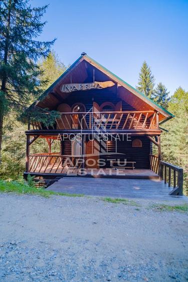 Pensiune, casa de vacanta, 6 camere, statiunea Rausor din Hunedoara - 26