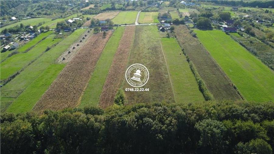 Teren langa padure - de vanzare in Poiana cu Cetate