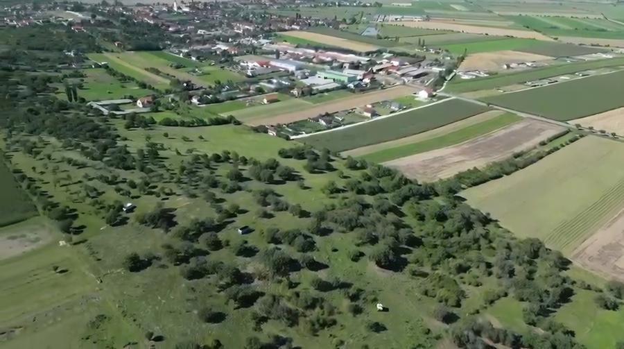 Parcele de 500 mp, potrivite atât pentru construirea unei locuințe, cât și pentr