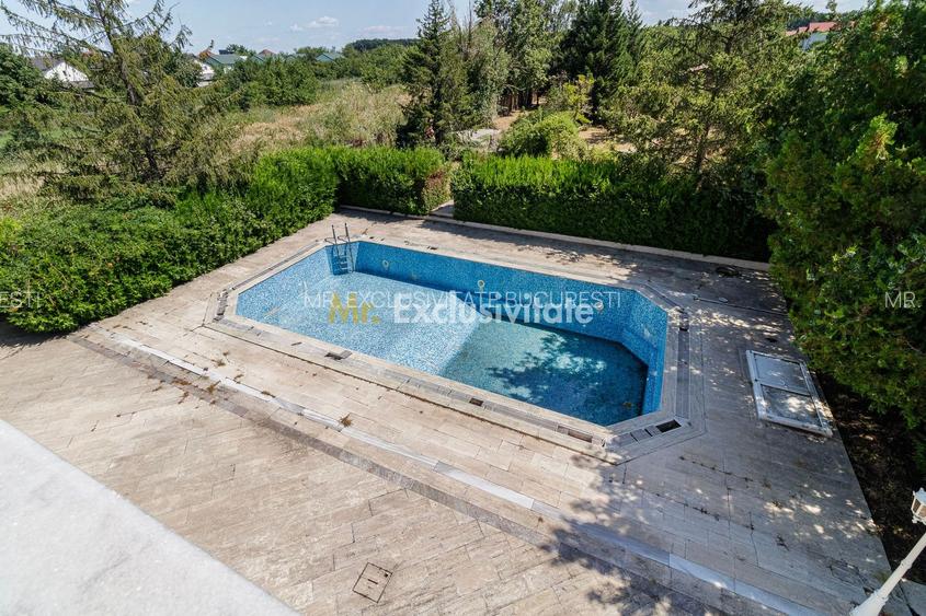 Domeniu privat 5.000 mp, cu reședință de 625 mp și piscină, Corbeanca - 38