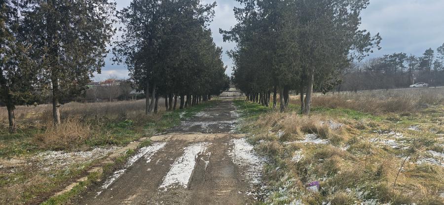 Exclusivitate,Agigea-Penny Market, teren 49284mp, intravilan, 124m desc.la DN 38