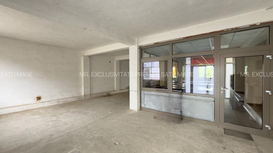Inchiriere Clădire Producție, Depozitare, Birouri-Teren 3140 mp - Carei - 7