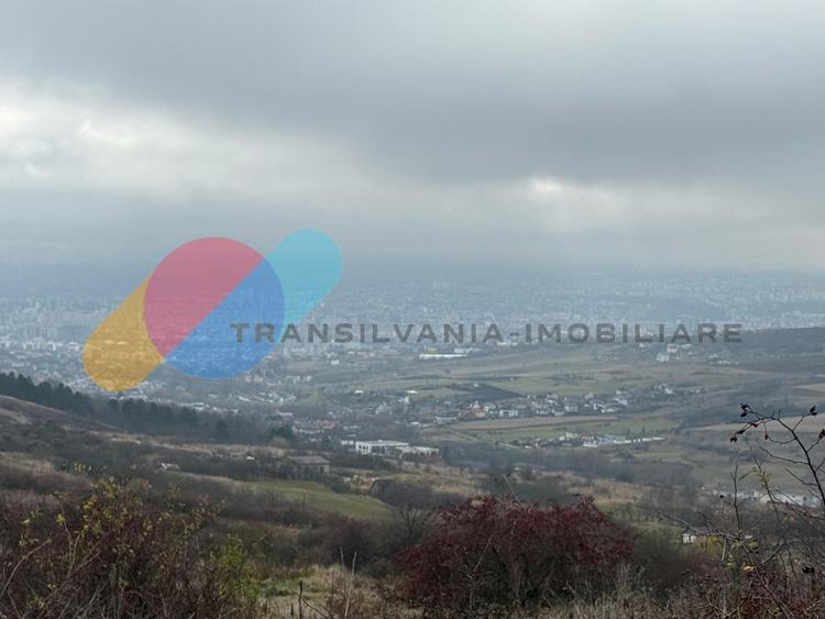 Teren extravilan 1000 mp, Valea Fanațelor