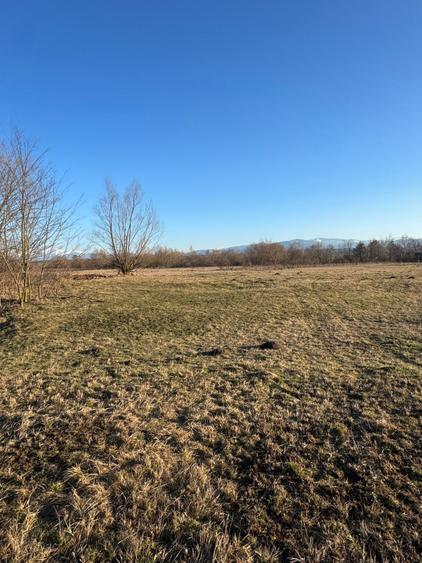 Oază de liniște cu vedere la munți – 2.400 mp lângă Aeroportul Sibiu (Cristian)