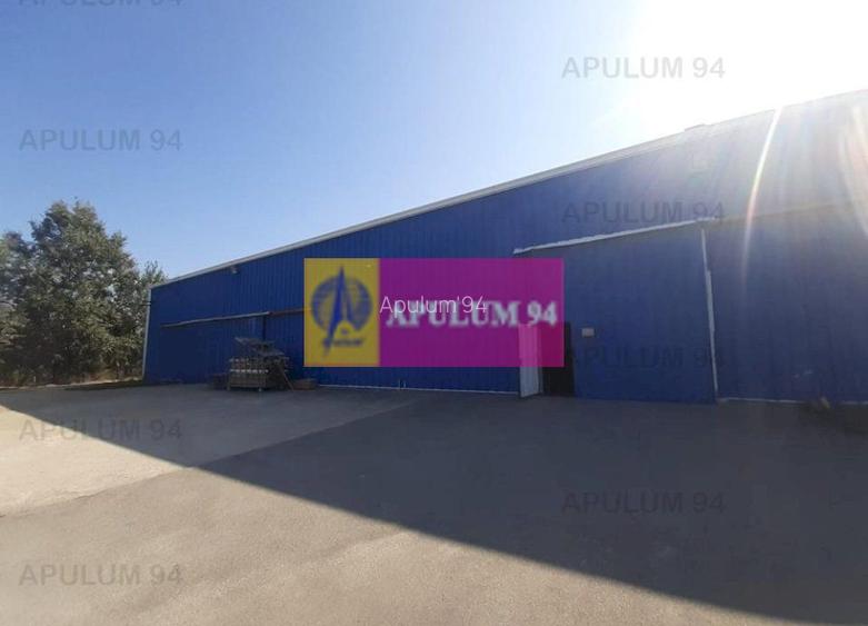 Spatiu Logistic langa Bucuresti Hala 5000 mp - 46