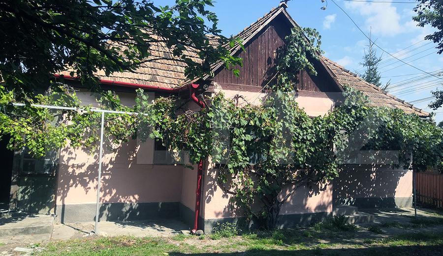Teren intravilan generos + 2 case – 15.277 mp, front 30 m, multiple posibilități - 7