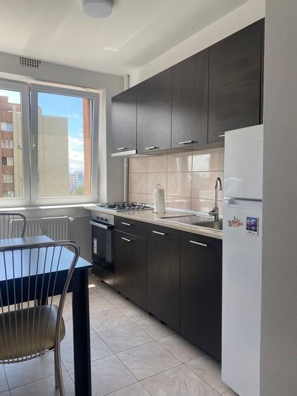 Închiriere 2 Camere Bd. Dimitrie Cantemir-Unirii, Petfriendly