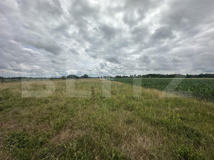 Teren extravilan 5000 mp de vânzare – zona Amati - 2