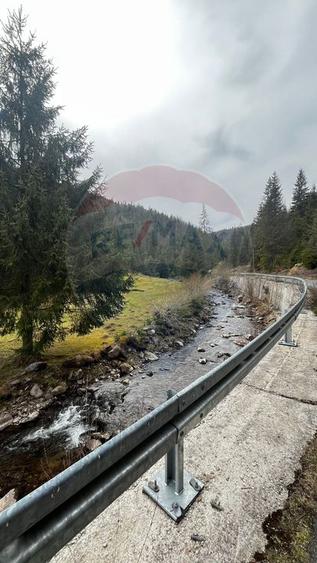 Teren intravilan 4331mp | Arieșeni | Oportunitate de Investiție