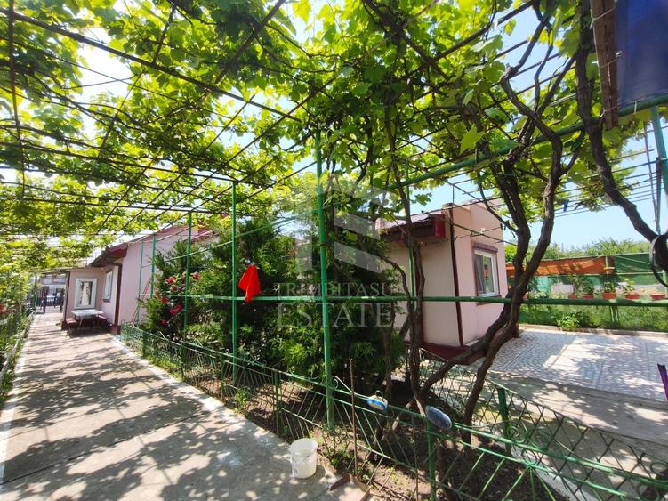 CASA  POIANA | PANOURI SOLARE | TEREN 800 MP