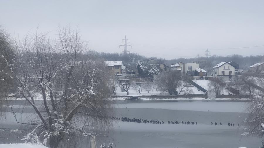 Vilă amplasată pe malul lacului