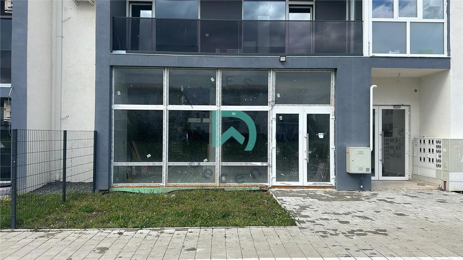 Spatiu Comercial - 116 mp, Selimbar, Brana, Sibiu