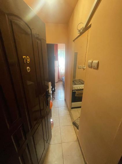 Camera de camin, de vanzare, 13,64 mp, zona Valea Rosie
