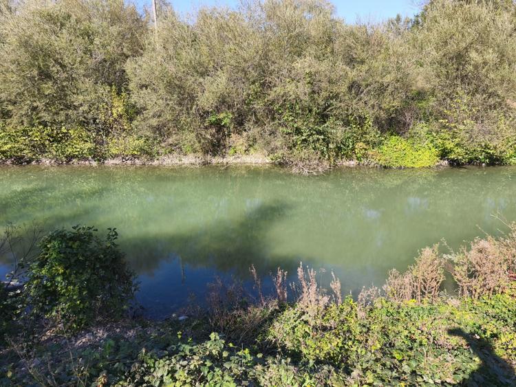 Teren imprejmuit cu iaz indiguit, 7200mp, Fratautii Vechi, Radauti
