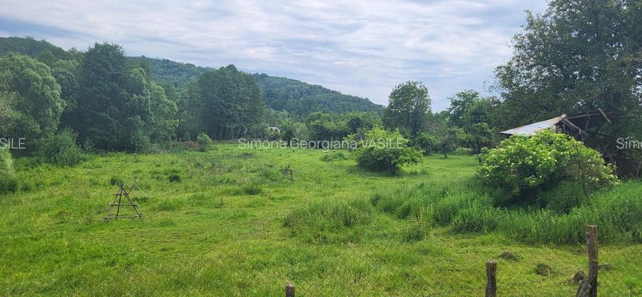 Vand 2.582 mp teren intravilan in Bughea de Jos, Argeș - 2