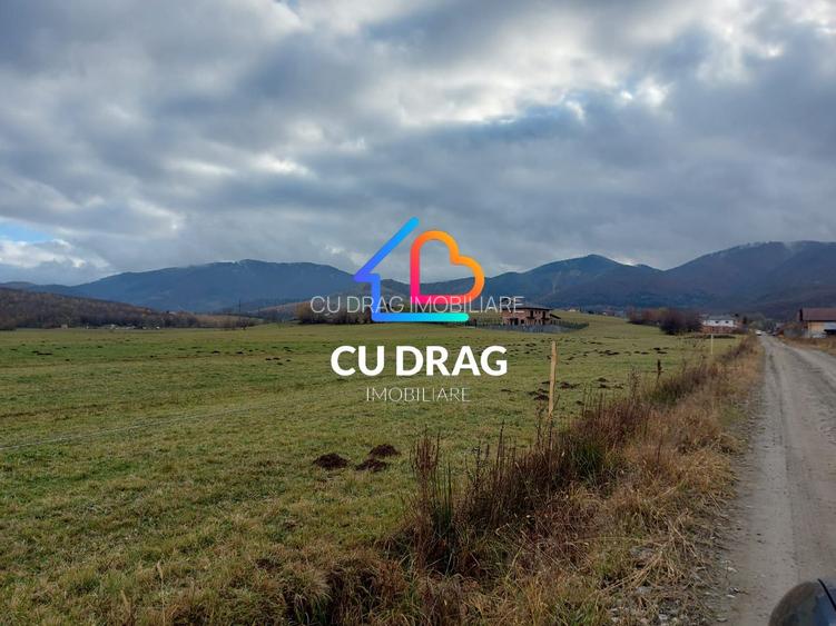 Oportunitate INVESTITIE teren Tocile la granita cu cart. Tineretului - 3