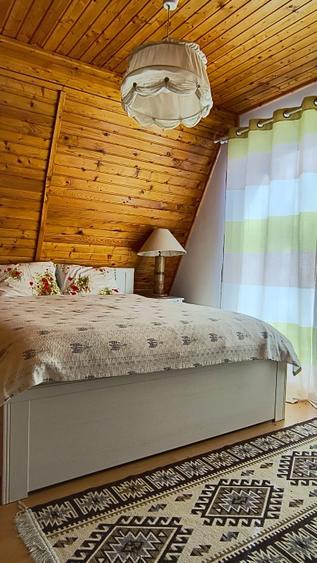 Vila de vanzare Valea Doftanei- Brebu - Campina