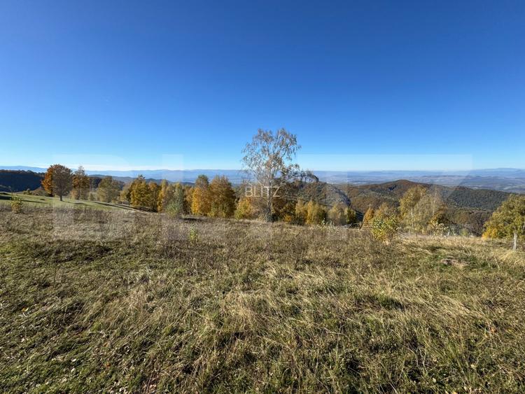 Teren extravilan 6.360 mp in Târsa - 3
