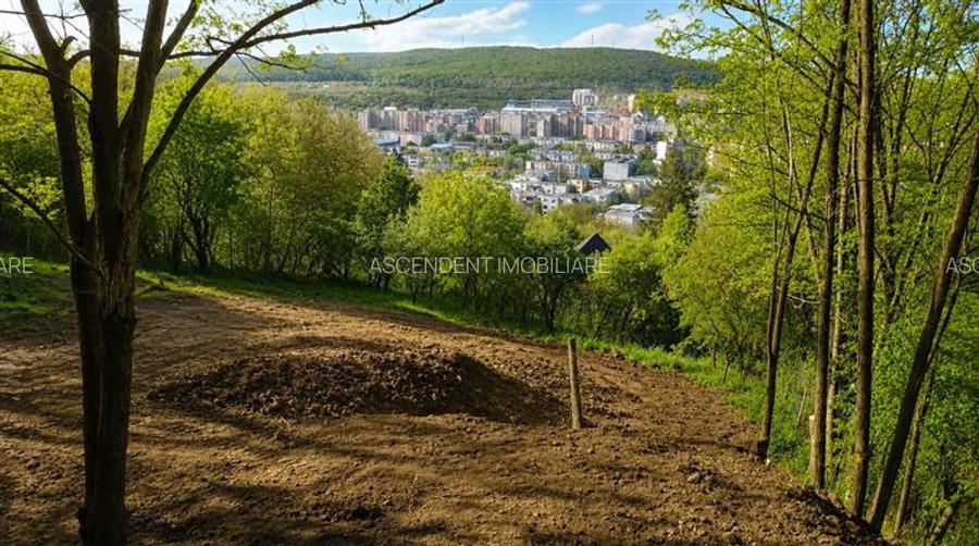 Teren intravilan, Platoul Cornesti, zona premium a orasului, 1.613 mp, oportunit - 2