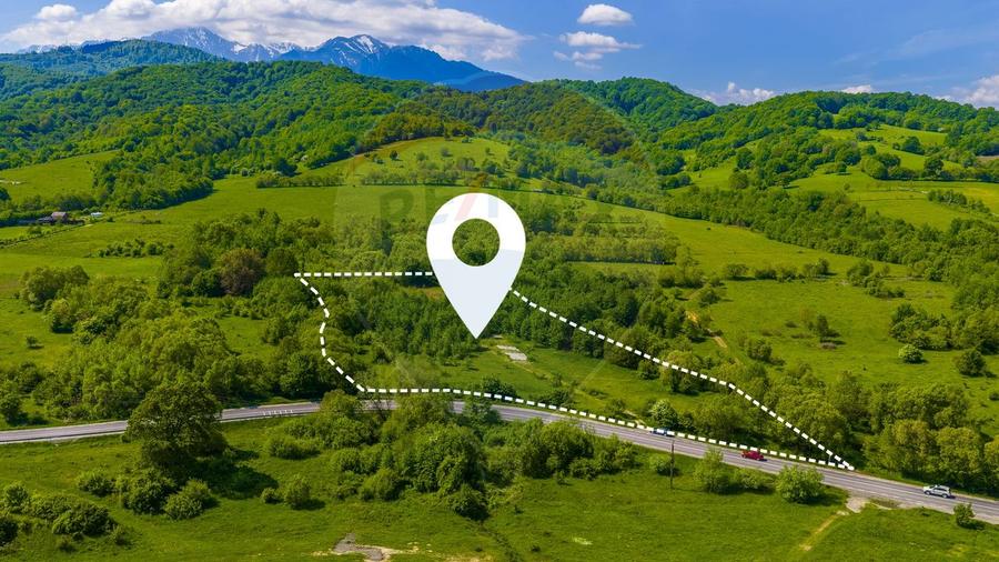 Teren 1ha Valea Glăjeriei - Rasnov | Comision 0%