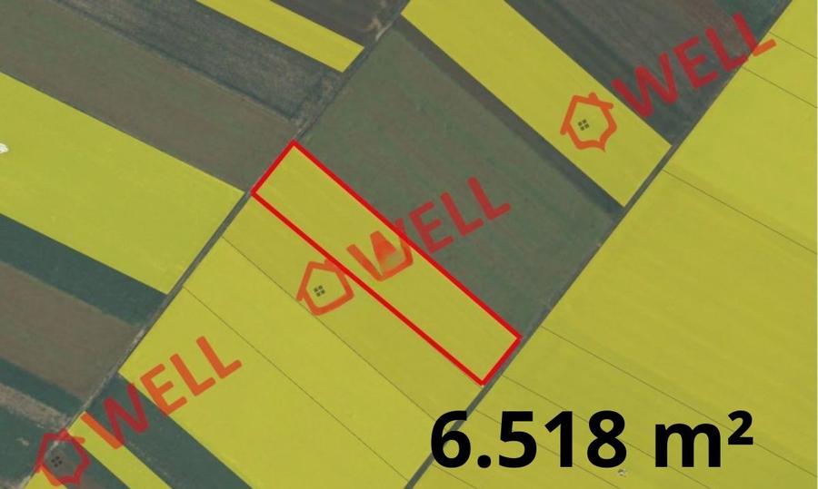 9 terenuri agricole de vânzare pe teritoriul administrativ al comunei Chichiș!