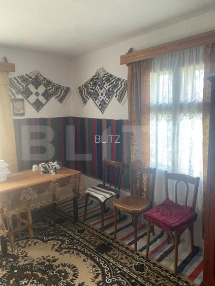 Casă de vânzare, cu 8 camere, 310 mp, cu teren de 1532 mp, zona Frasin - 3
