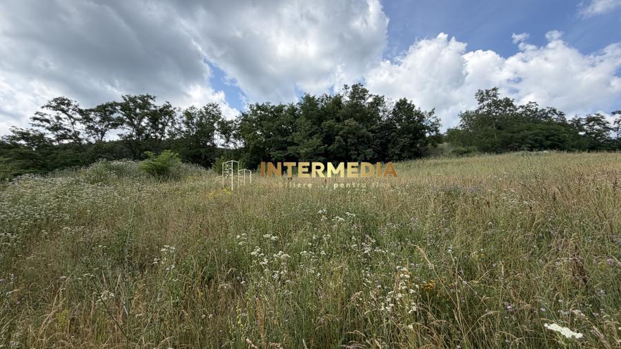 TEREN Intravilan 1257 mp Liziera Pădurii Meteș Platou Cabană la 15 km Alba Iulia