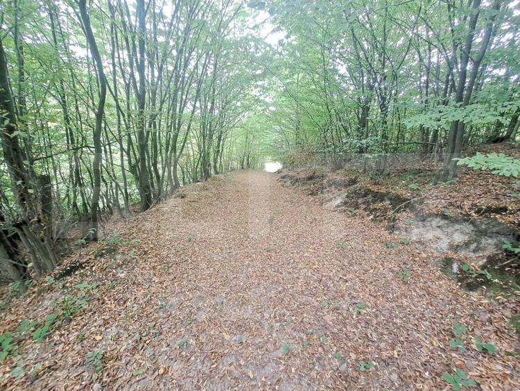 Casă de vânzare – Colonia 1 Mai 65.000 EURO